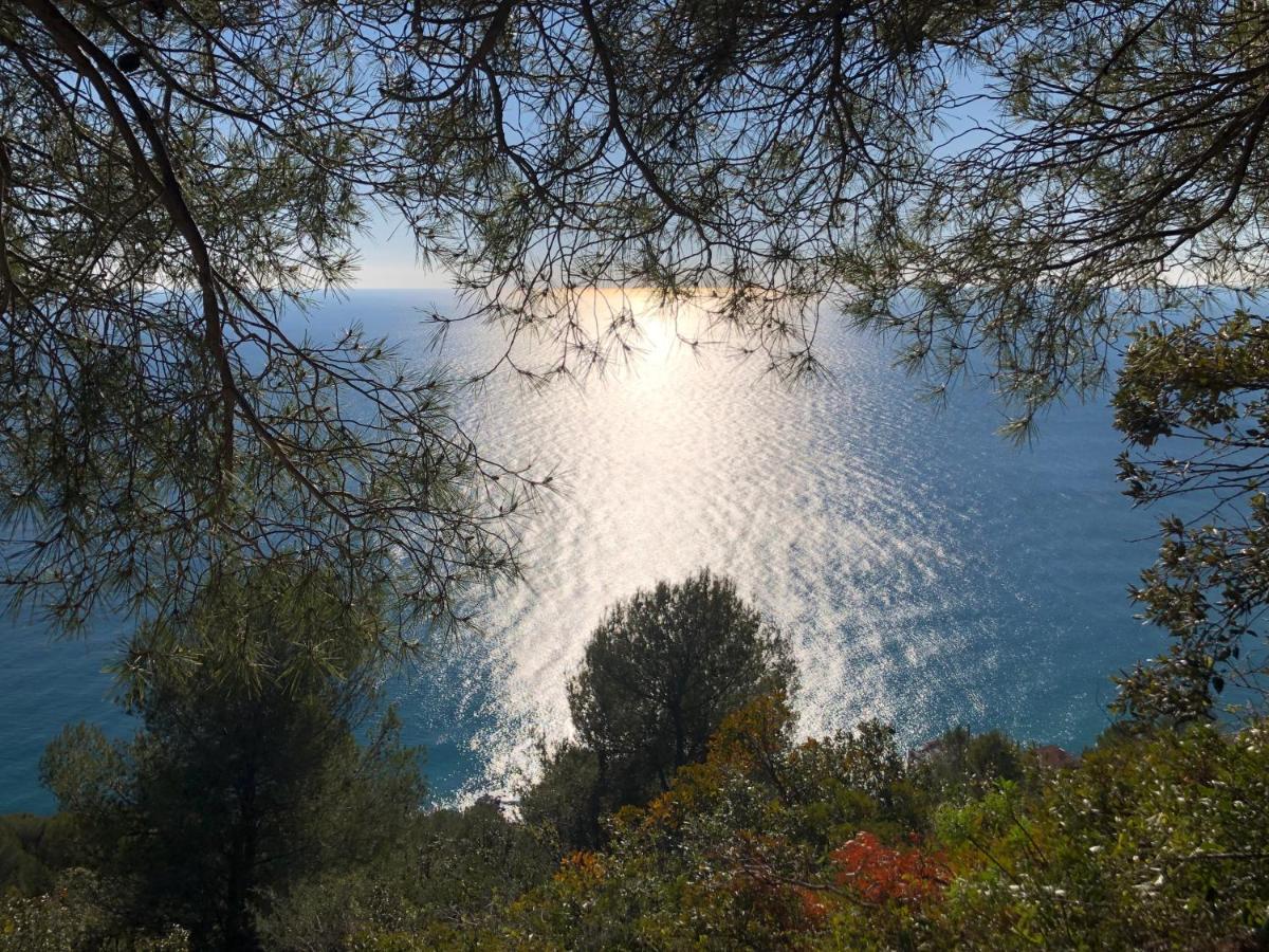 Agriturismo Lavalleggia Tovo San Giacomo Kültér fotó